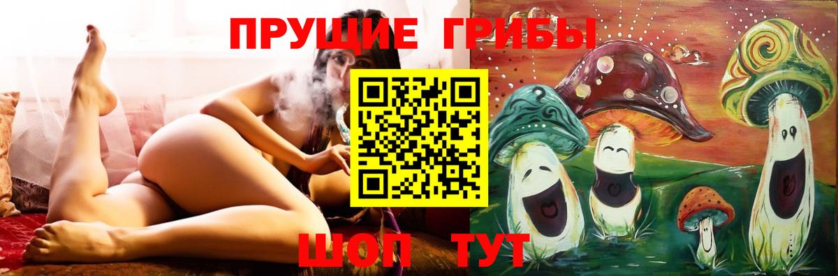 Углич  Галлюциногенные грибы мицелий  Вход с VPN  Галлюциногенные грибы GOLDEN TEACHER 
